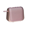 Raycon The Everyday Speaker — Rose Gold